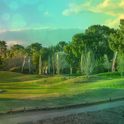 dgv-course_400.jpg