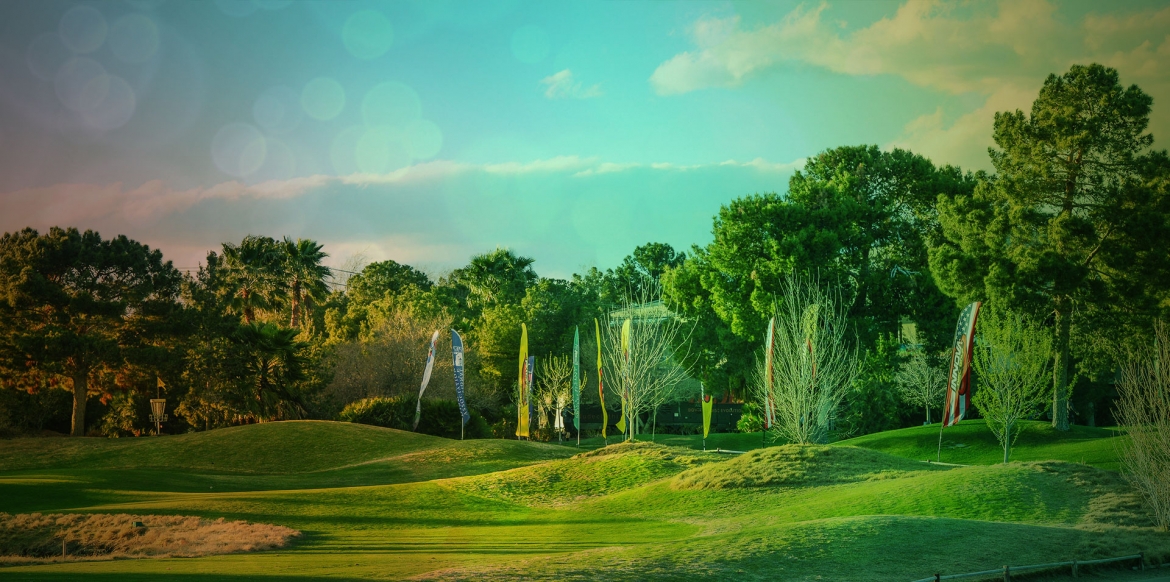 lvc-header01.jpg